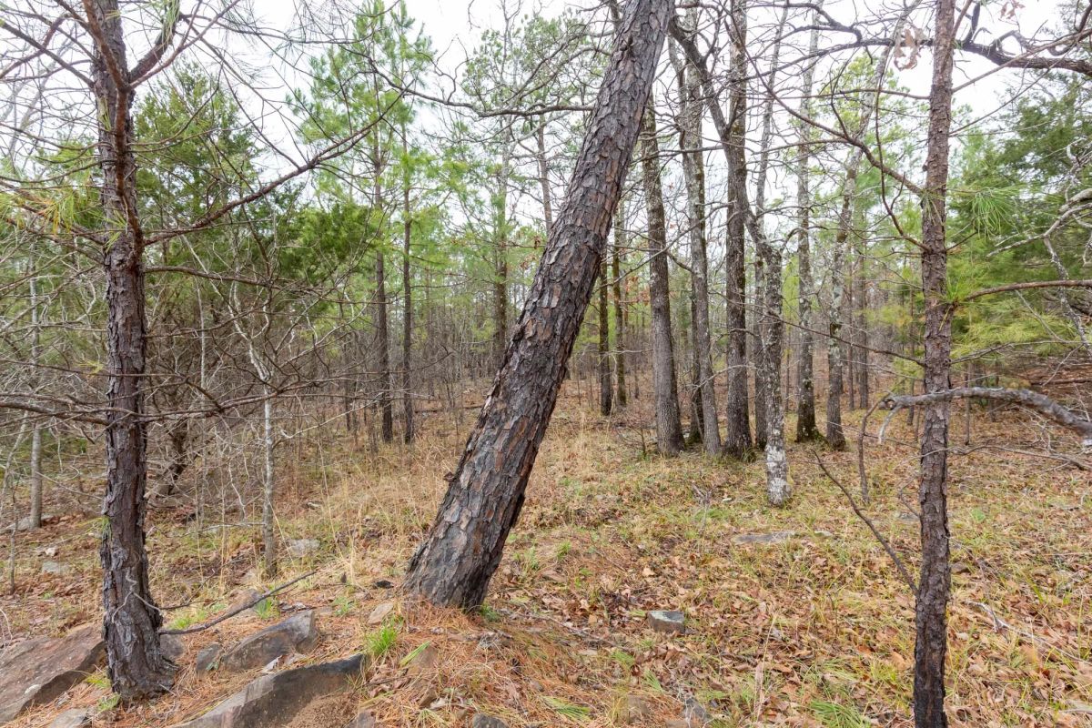 Stone Bridge Phase III Tract 176 - Image 3