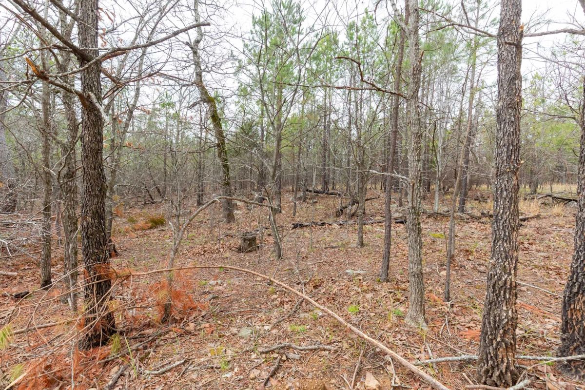 Stone Bridge Phase III Tract 176 - Image 4
