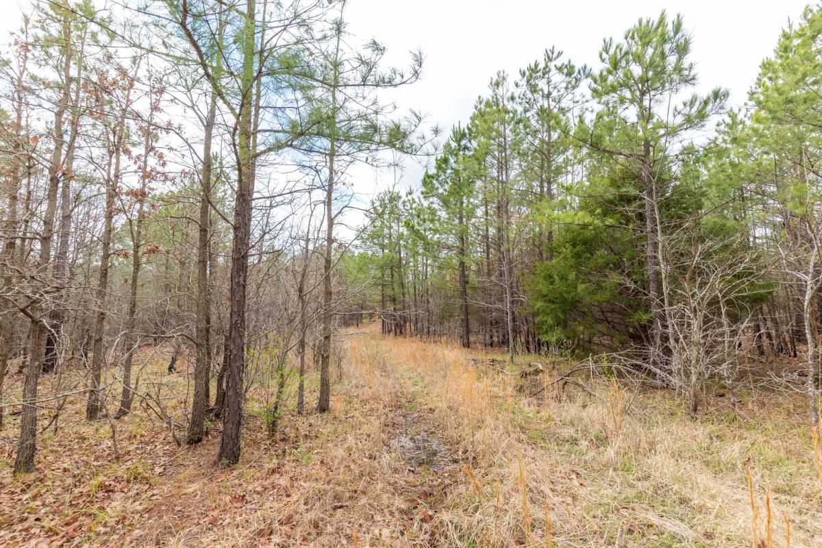 Decorative background for Stone Bridge Phase III Tract 176 image 5
