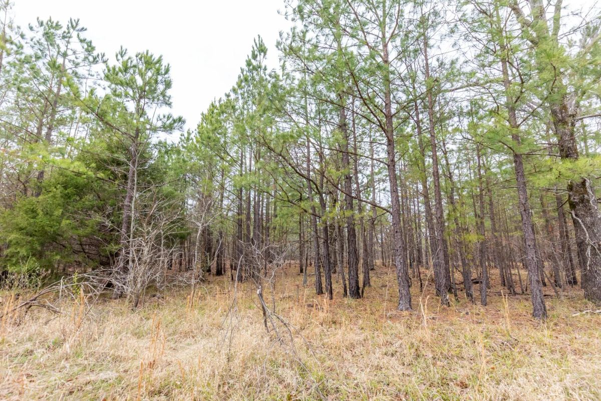 Decorative background for Stone Bridge Phase III Tract 176 image 6