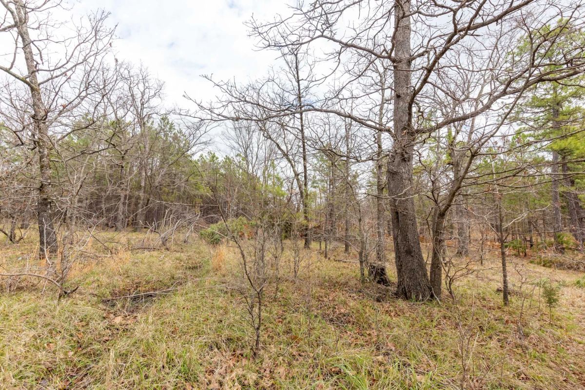 Decorative background for Stone Bridge Phase III Tract 176 image 7