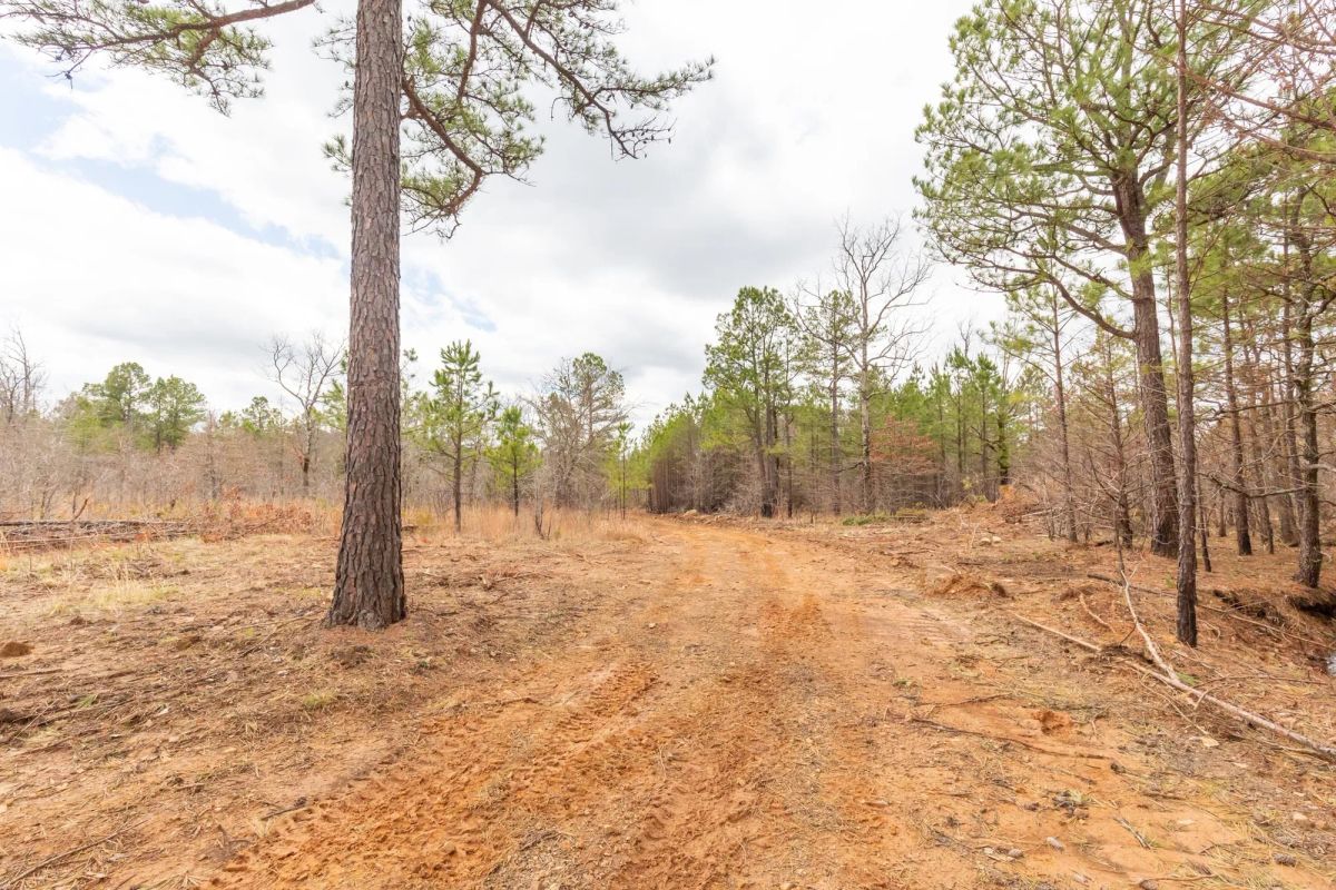 Decorative background for Stone Bridge Phase III Tract 176 image 9