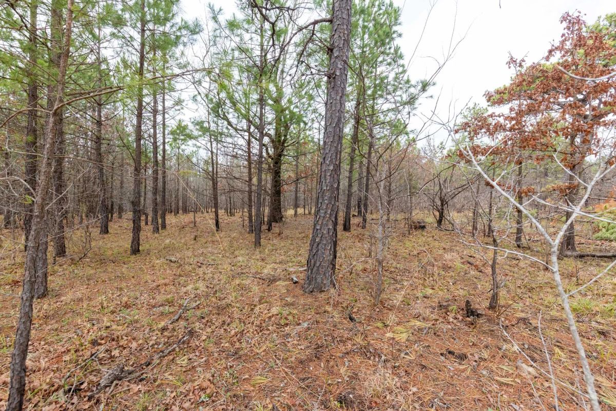 Decorative background for Stone Bridge Phase III Tract 176 image 11