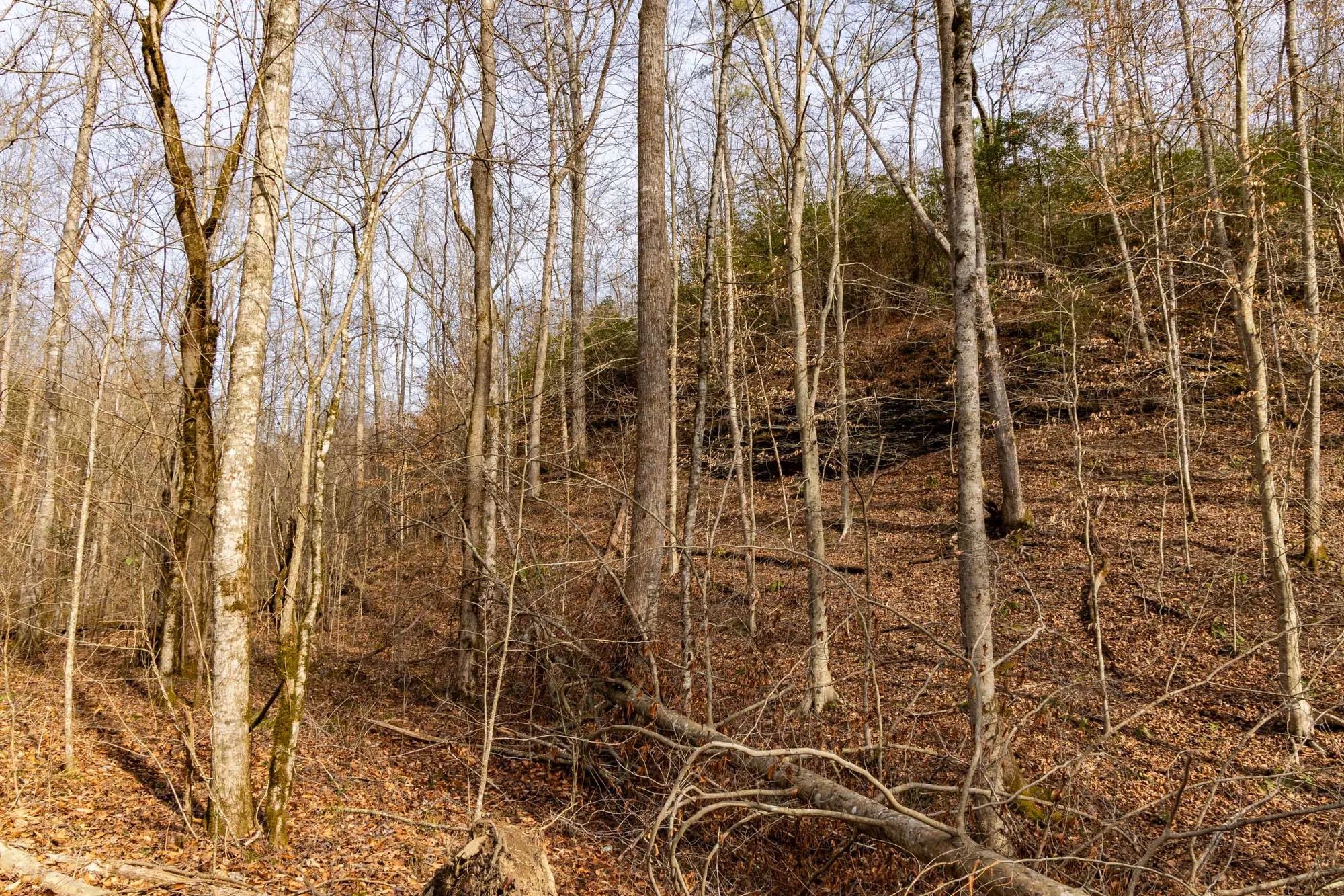 Jade Pass Tract 27 in Whitley County, KY