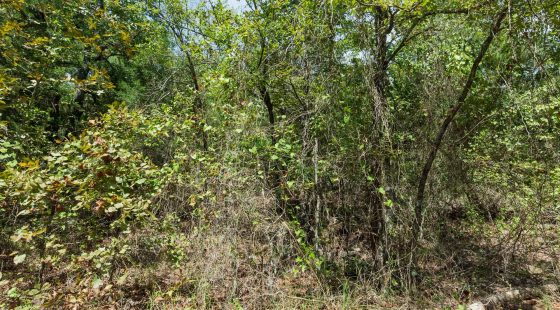 Stone Bridge Phase V Tract 376 in Latimer County, OK
