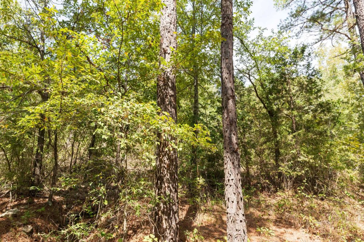 Stone Bridge Phase V Tract 376 - Image 3