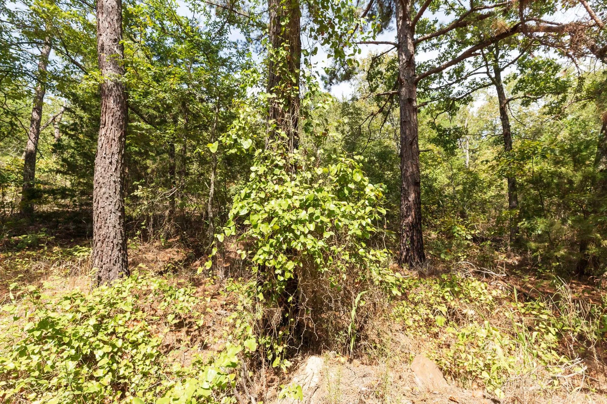 Stone Bridge Phase V Tract 376 in Latimer County, OK