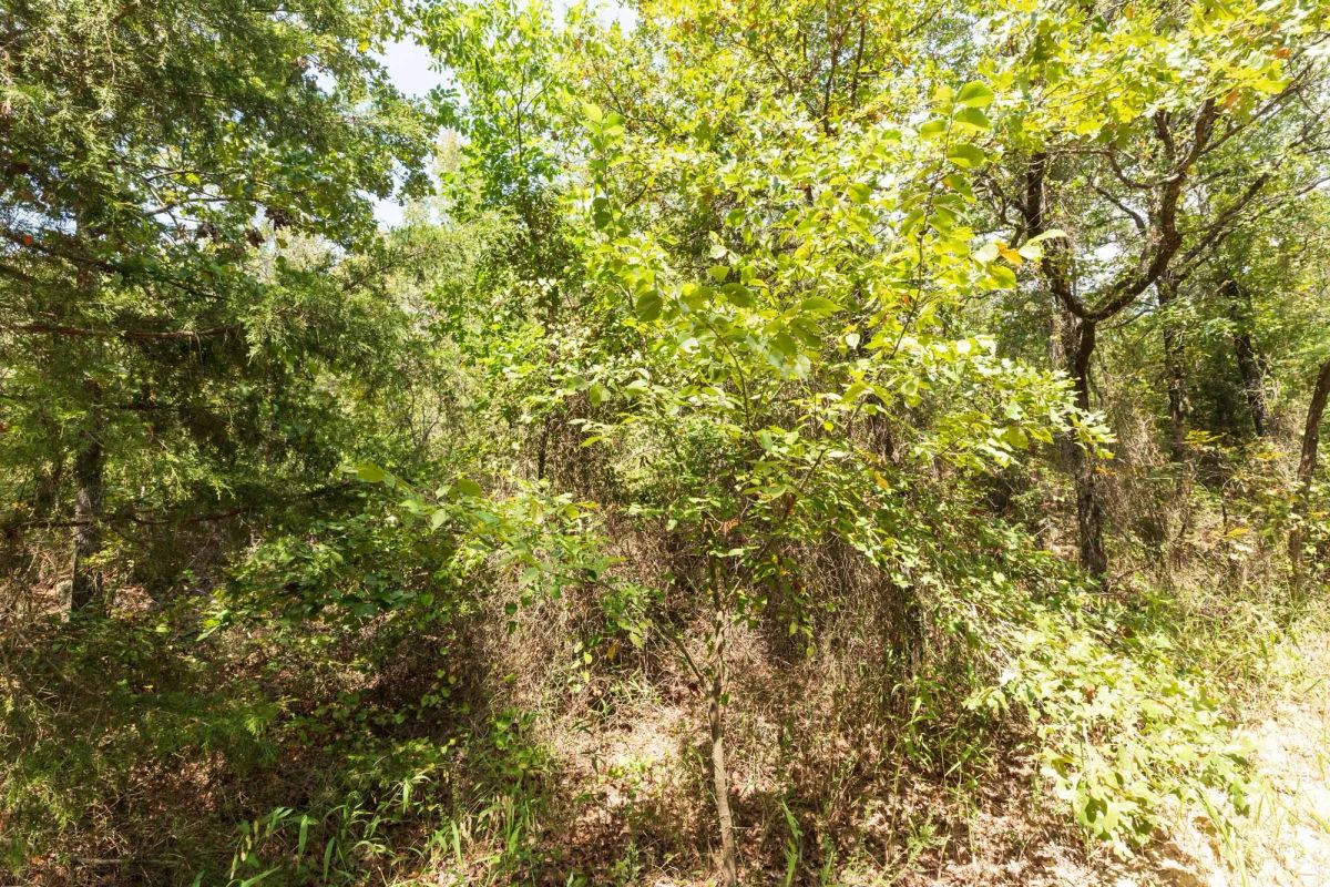 Decorative background for Stone Bridge Phase V Tract 376 image 6