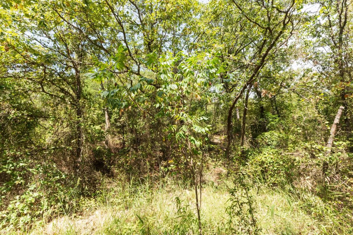 Decorative background for Stone Bridge Phase V Tract 376 image 7