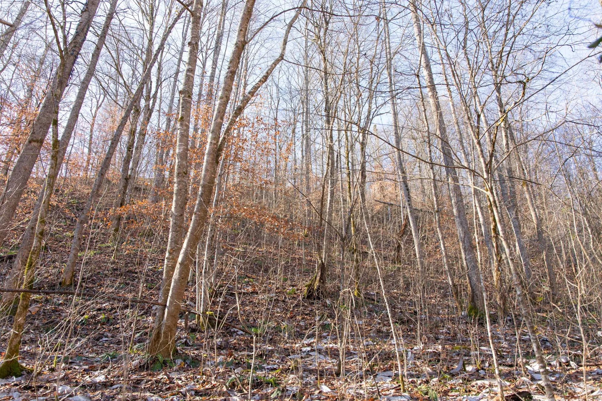 Blackstone Mountain Phase I Tract 8 in Clay County, KY