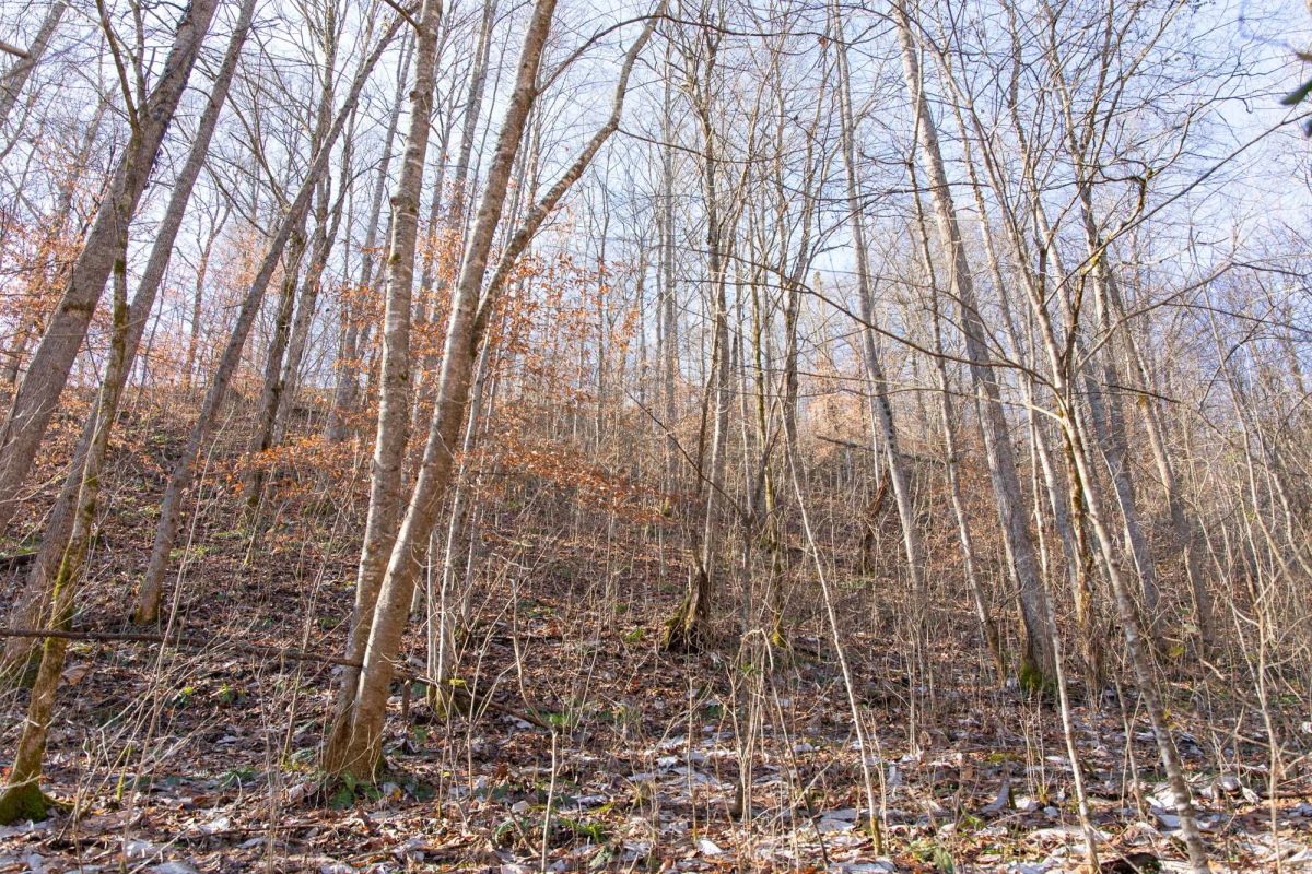 Blackstone Mountain Phase I Tract 8 - Image 3