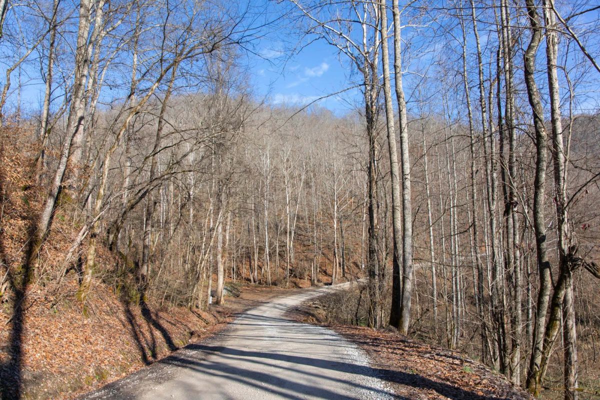 Blackstone Mountain Phase I Tract 8 - Image 4