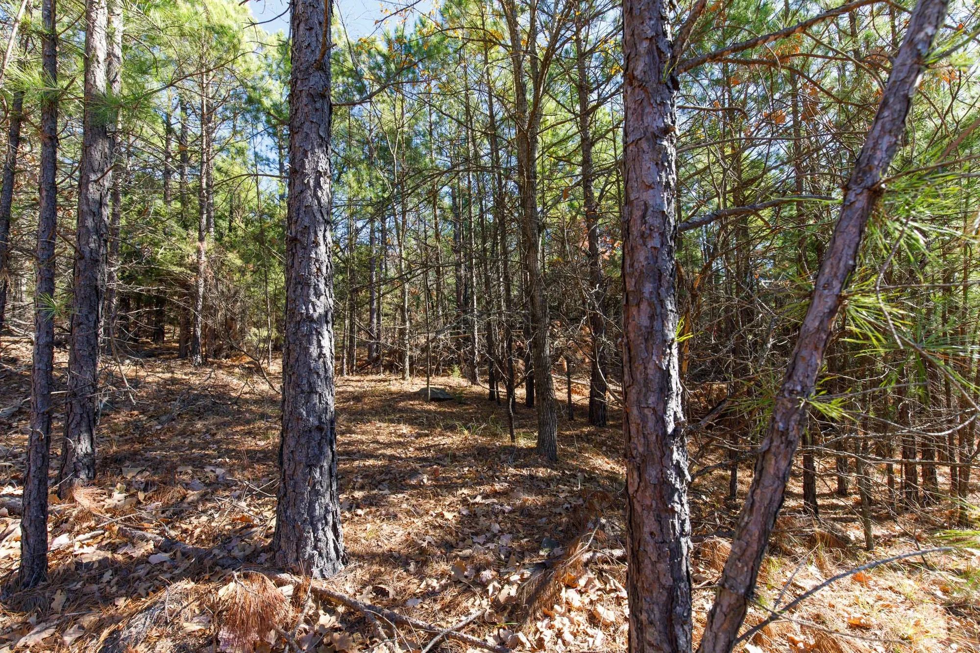 Stone Bridge Phase II Tract 125 in Latimer County, OK