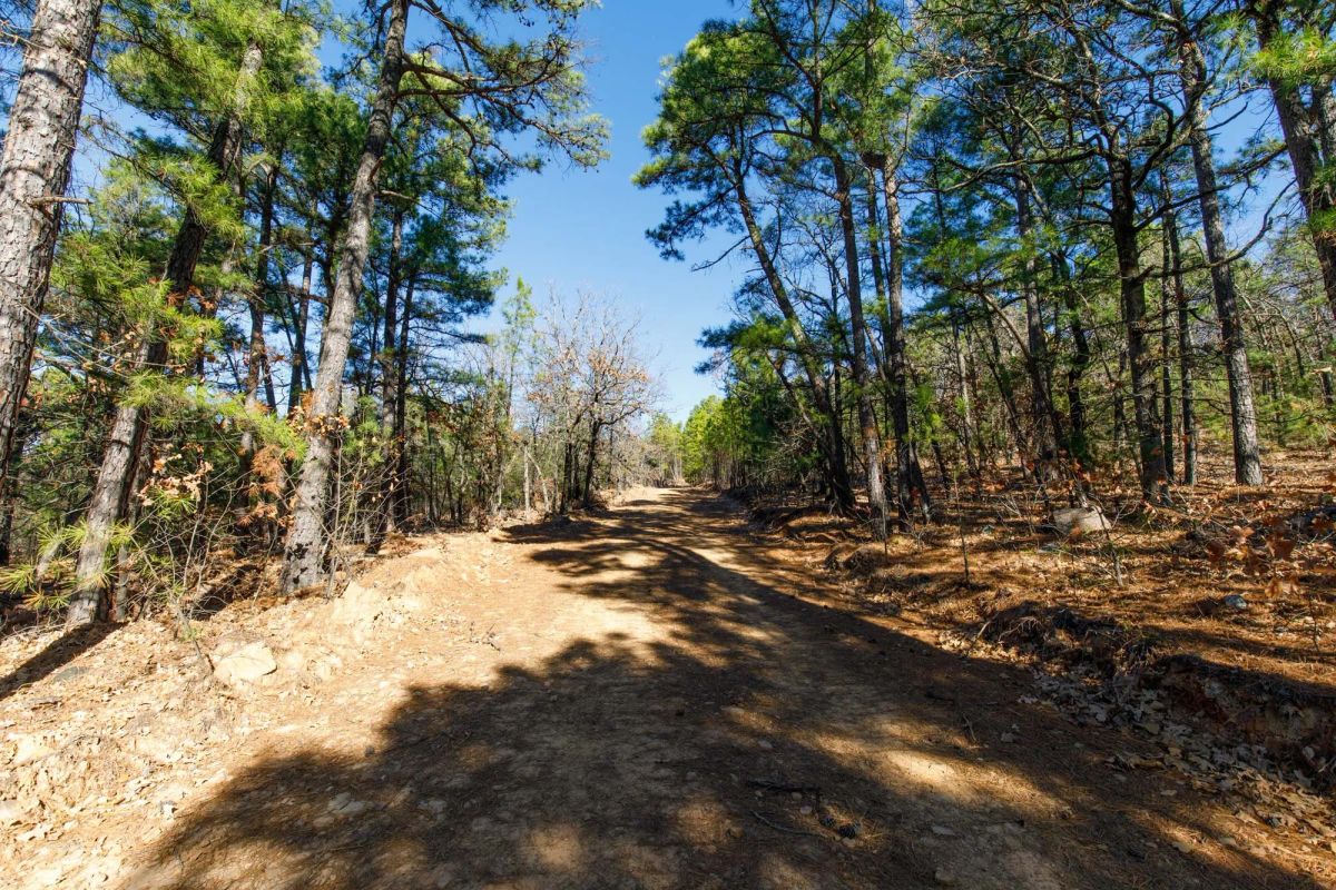 Stone Bridge Phase II Tract 125 - Image 4