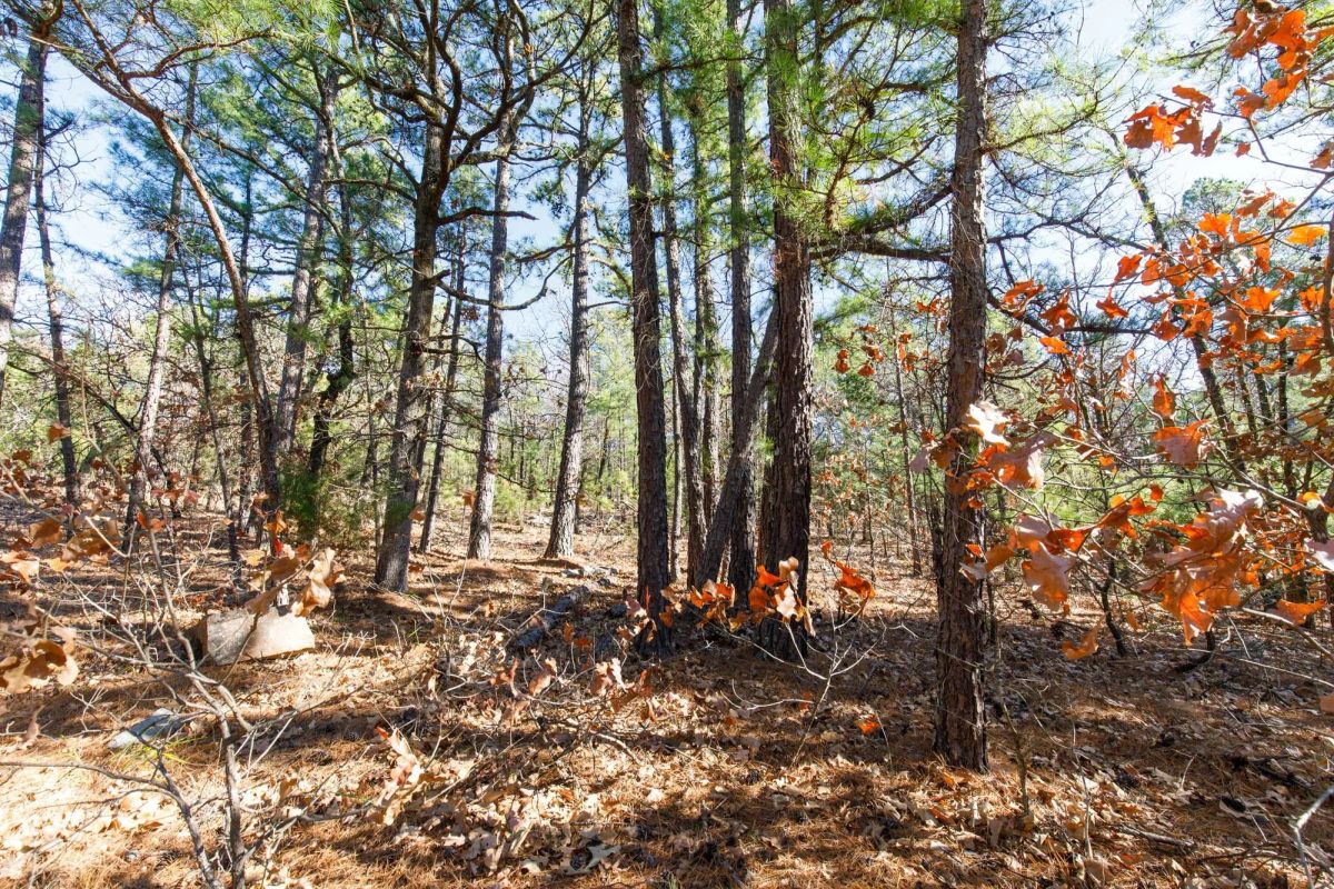 Decorative background for Stone Bridge Phase II Tract 125 image 6