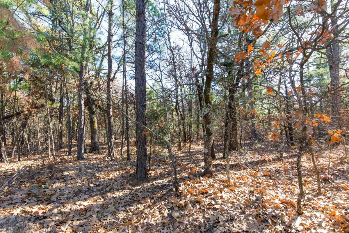 Decorative background for Stone Bridge Phase II Tract 125 image 8
