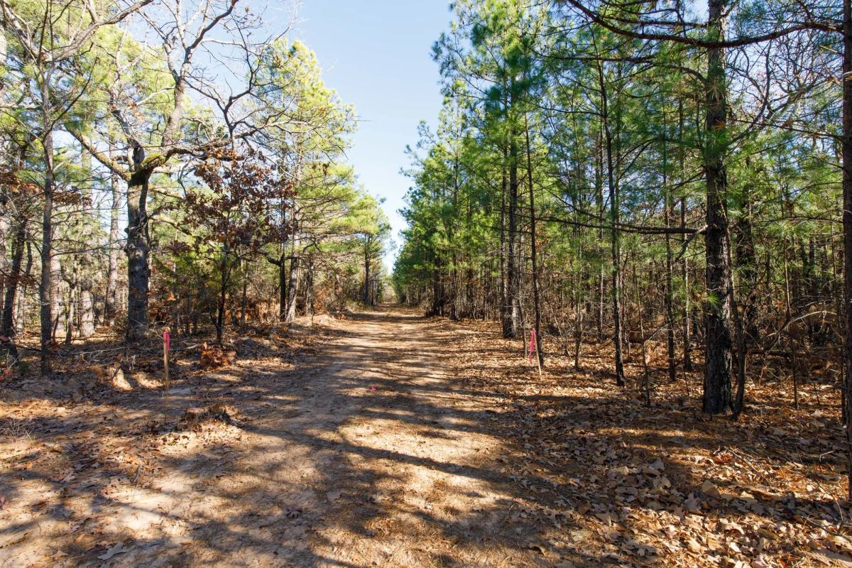 Decorative background for Stone Bridge Phase II Tract 125 image 9