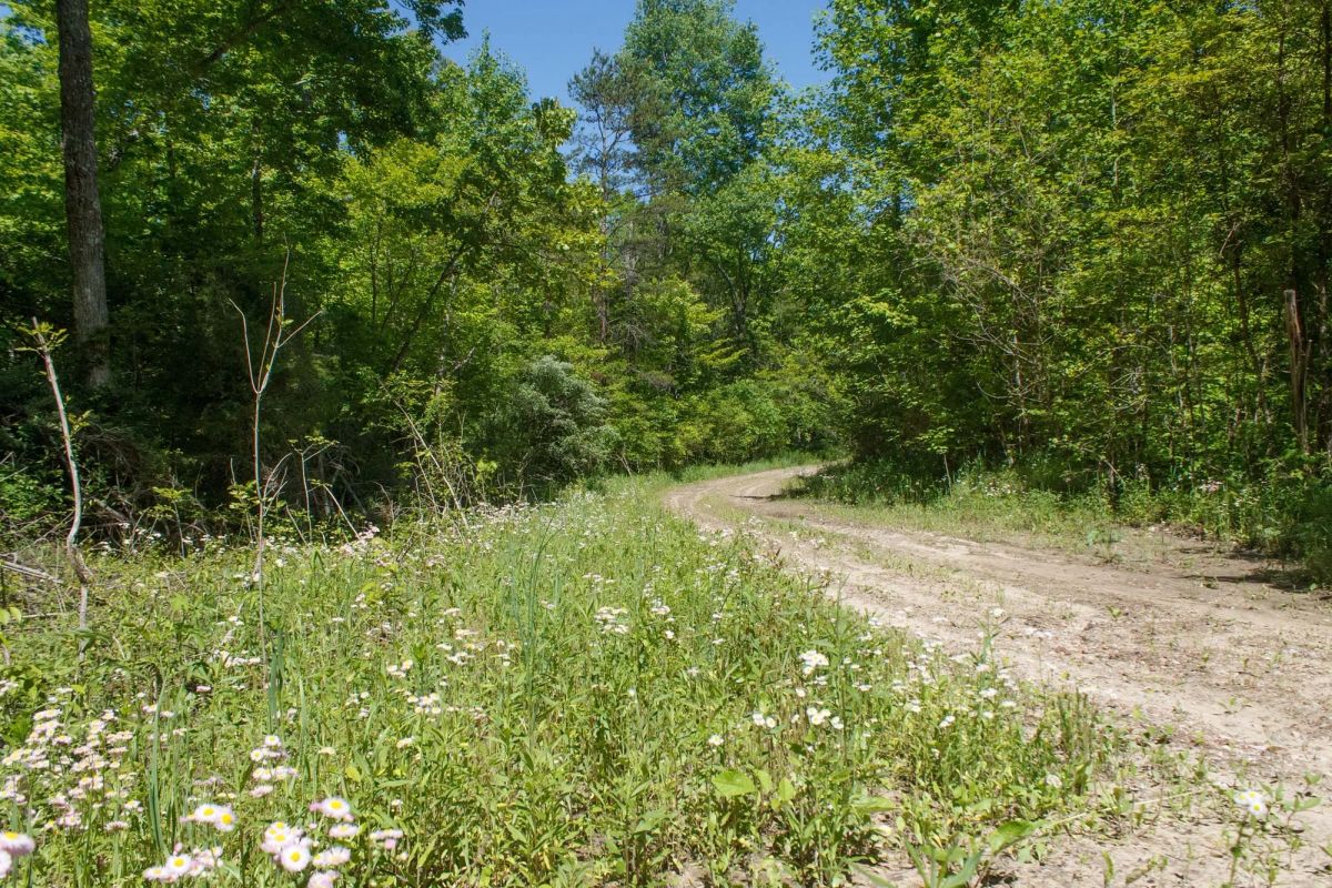 Riverbend Tract 12 - Image 3