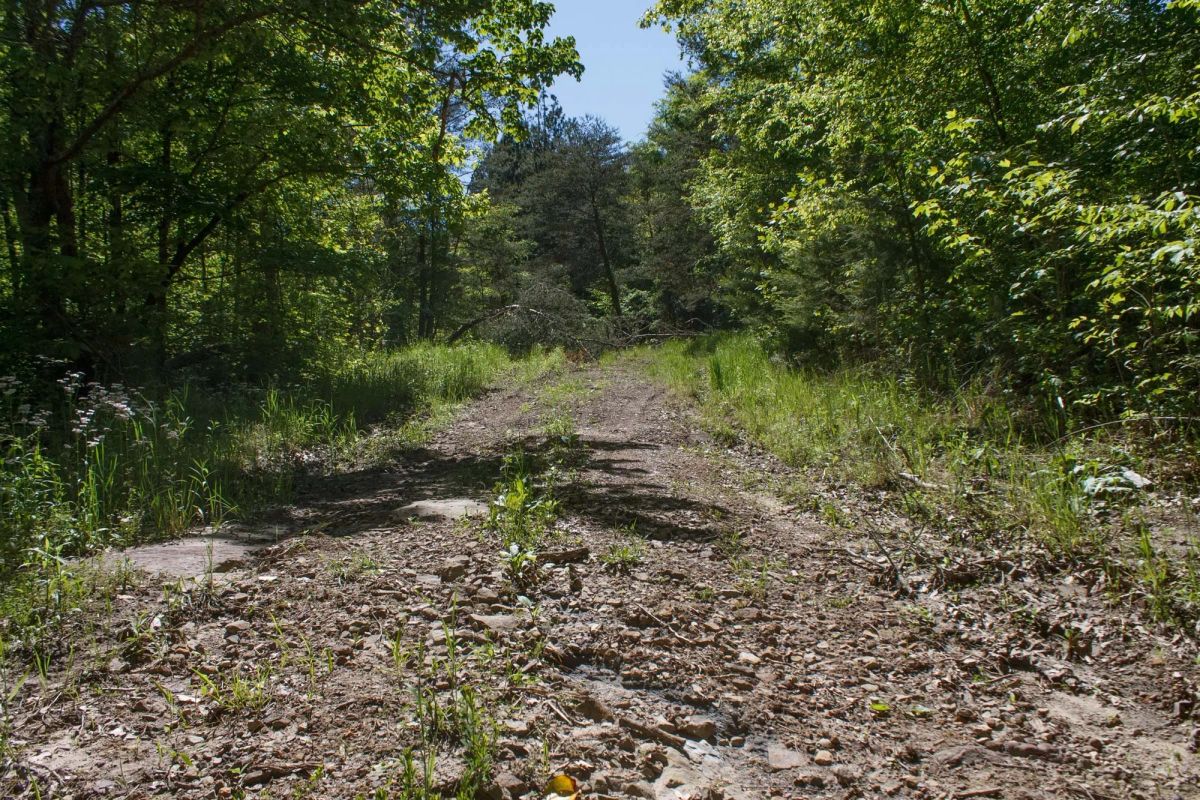 Decorative background for Riverbend Tract 12 image 6