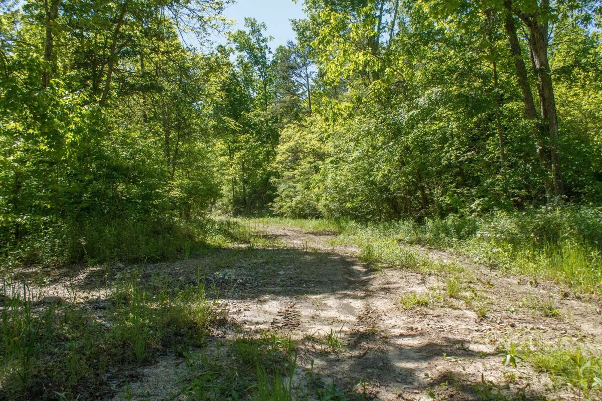 Decorative background for Riverbend Tract 12 image 11