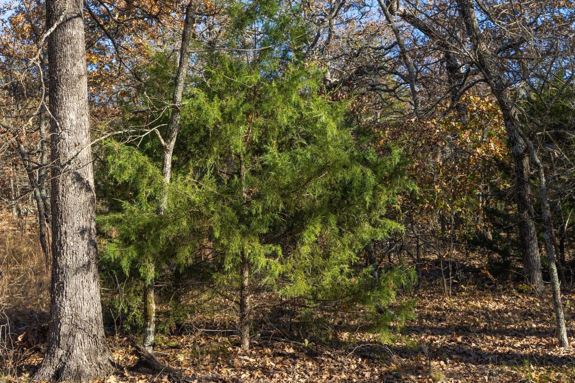 Harmony Hills Tract 50 in Pittsburg County, OK