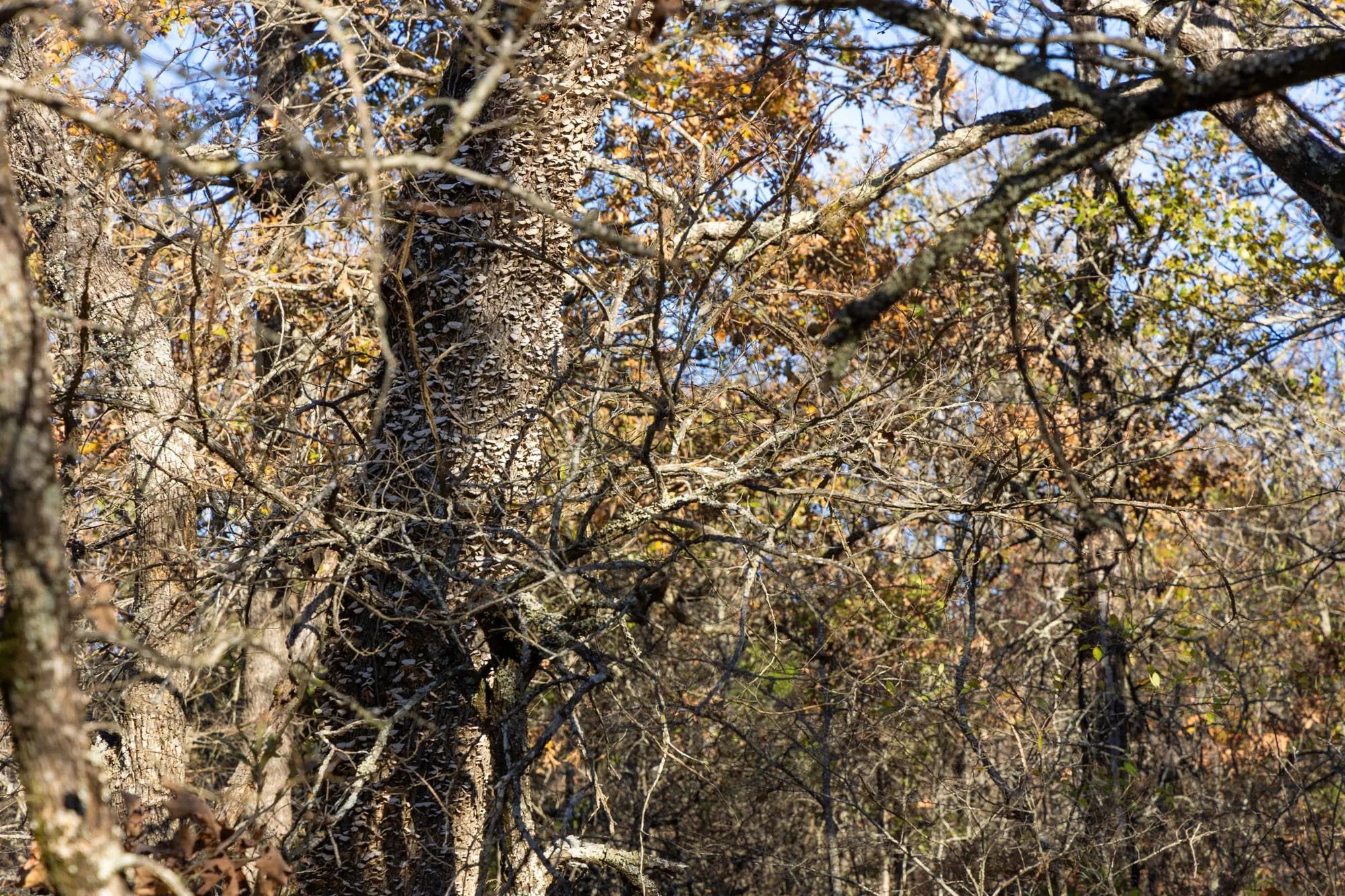 Harmony Hills Tract 50 in Pittsburg County, OK