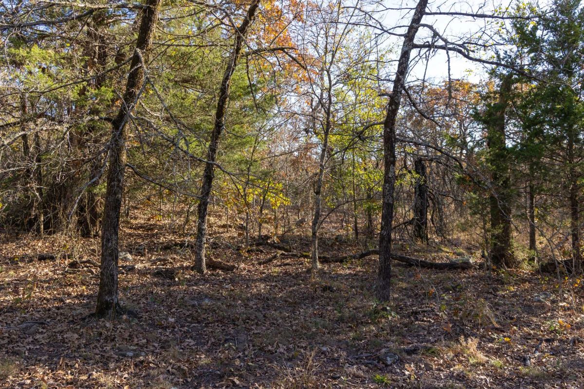 Decorative background for Harmony Hills Tract 50 image 7