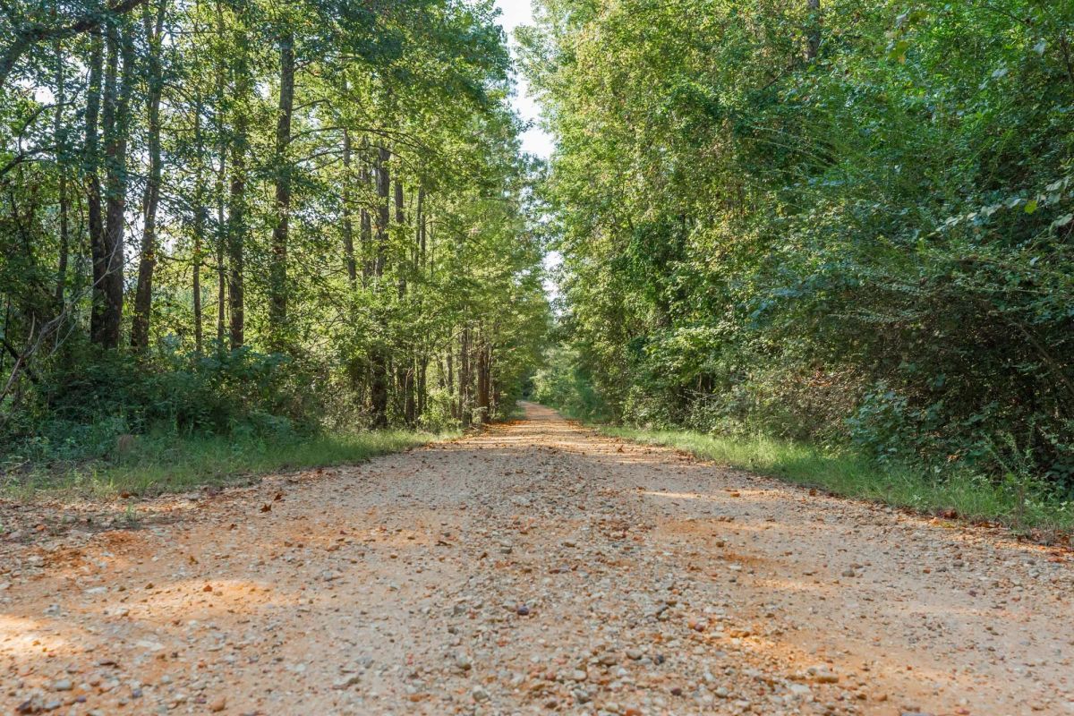 Willow Grove Tract 9 - Main image