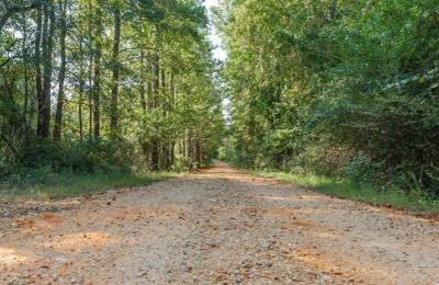 Willow Grove Tract 9
