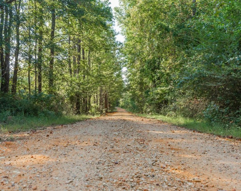 Willow Grove Tract 9 in Lamar County, AL