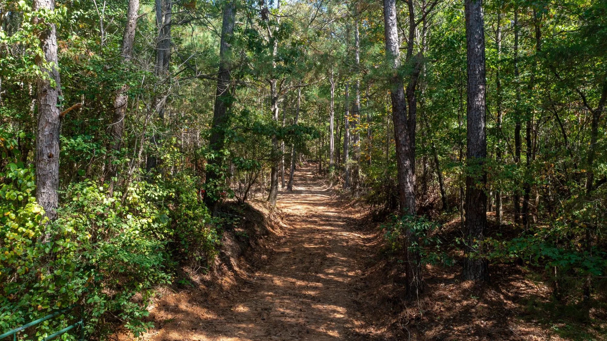Willow Grove Tract 9 in Lamar County, AL