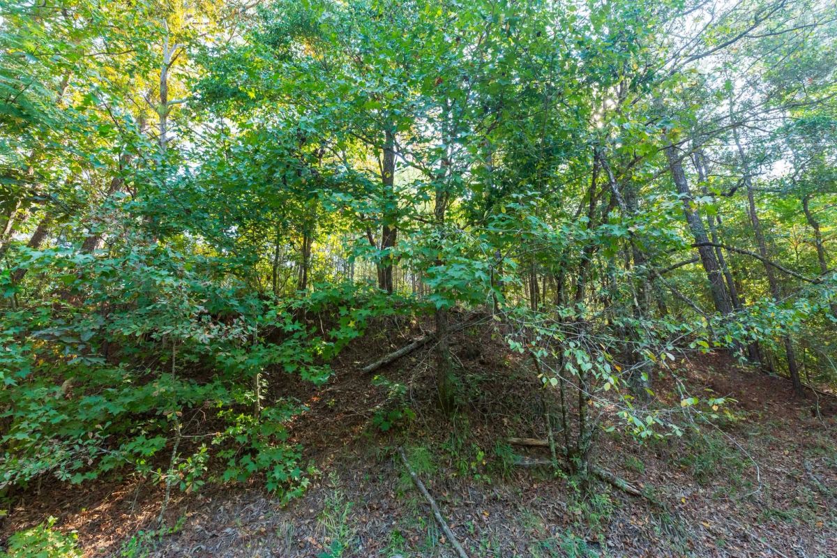 Decorative background for Willow Grove Tract 9 image 5