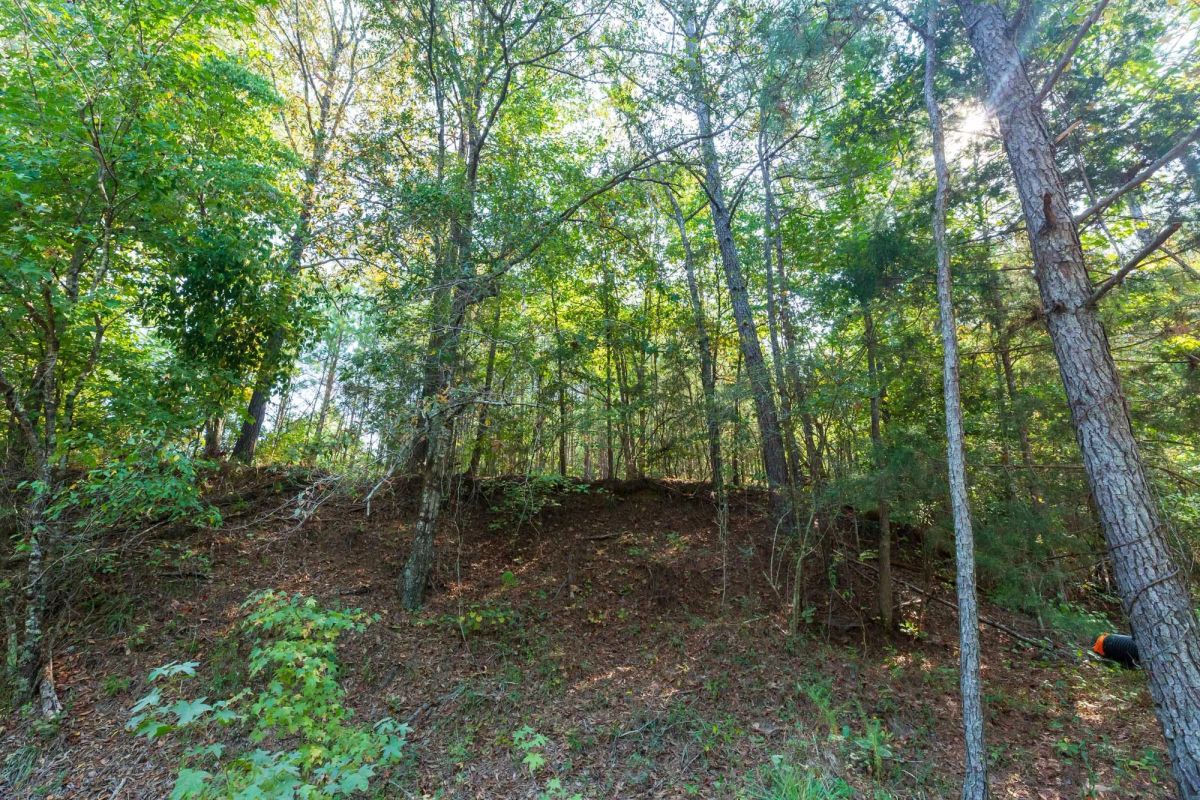 Decorative background for Willow Grove Tract 9 image 7