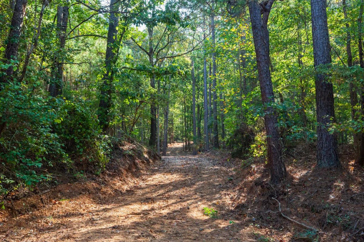 Decorative background for Willow Grove Tract 9 image 8