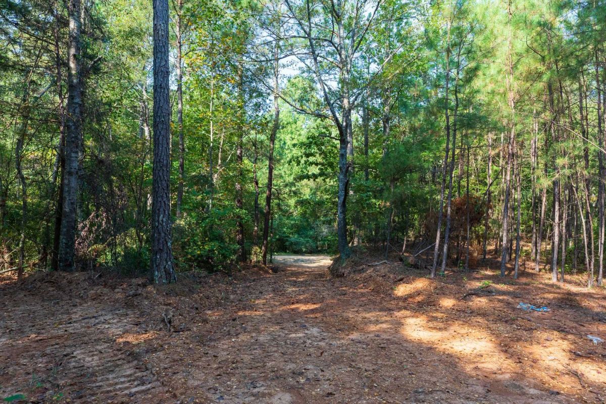Decorative background for Willow Grove Tract 9 image 10
