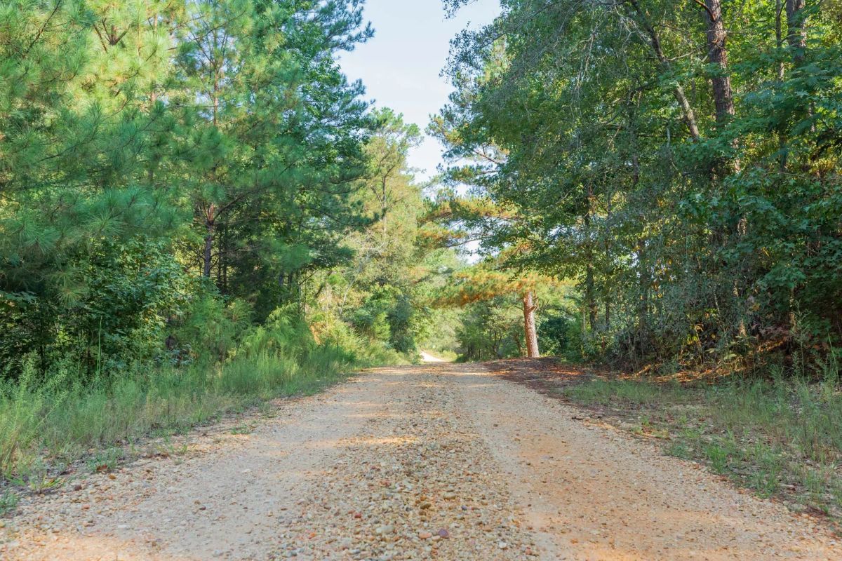 Decorative background for Willow Grove Tract 9 image 12