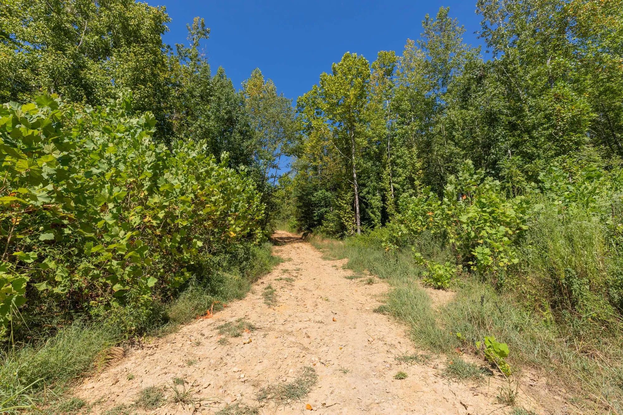 Big White Oak Tract 113 in Perry County, TN