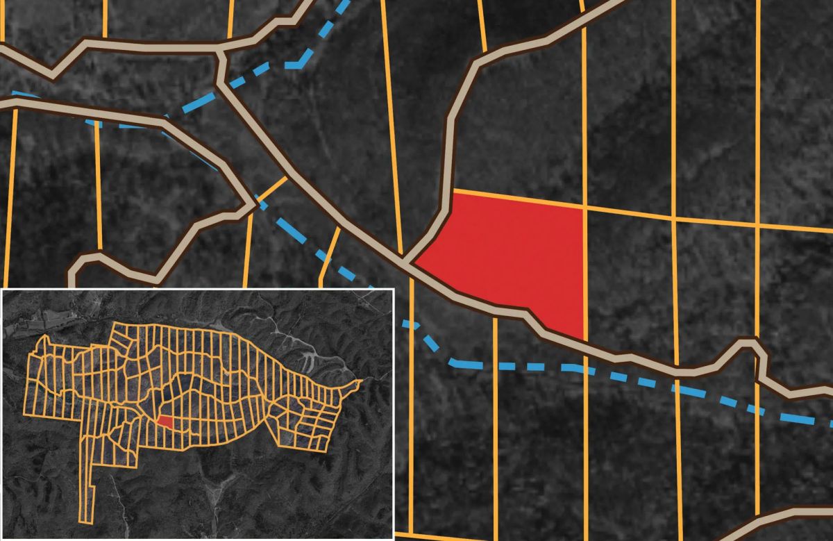 Decorative background for Big White Oak Tract 113 image 22