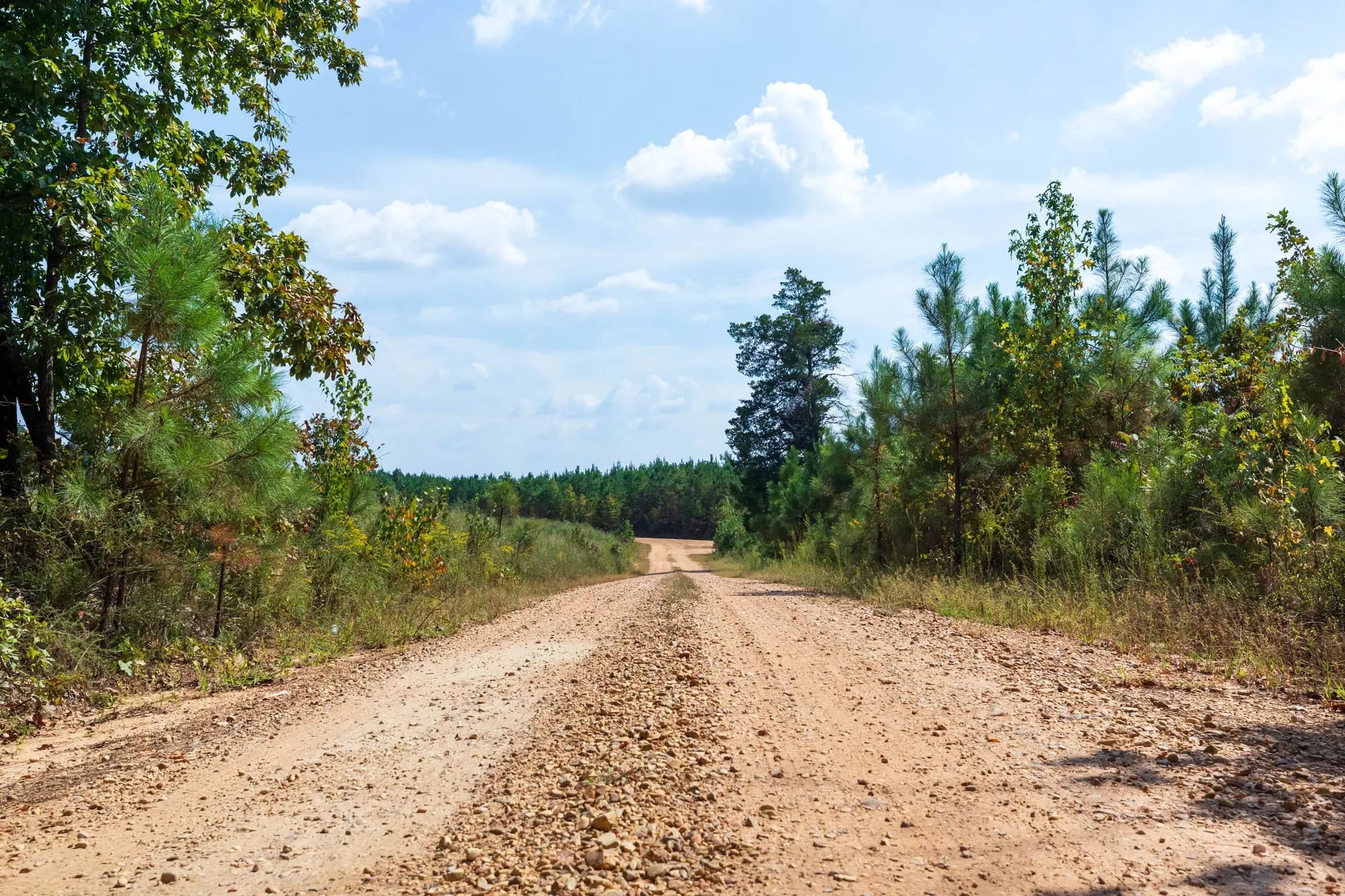 Willow Grove Tract 1 in Lamar County, AL