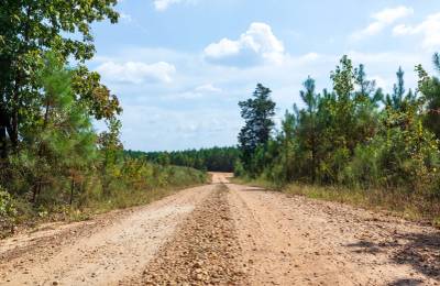 Willow Grove Tract 1