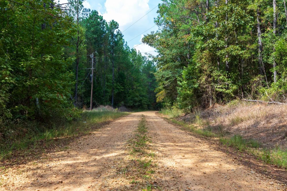 Willow Grove Tract 1 - Image 4