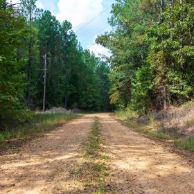 Willow Grove Tract 1 in Lamar County, AL
