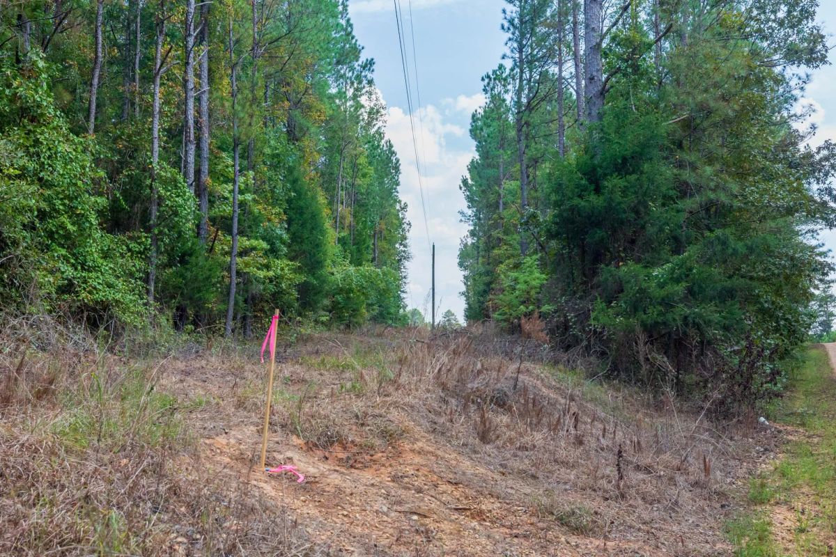 Decorative background for Willow Grove Tract 1 image 12