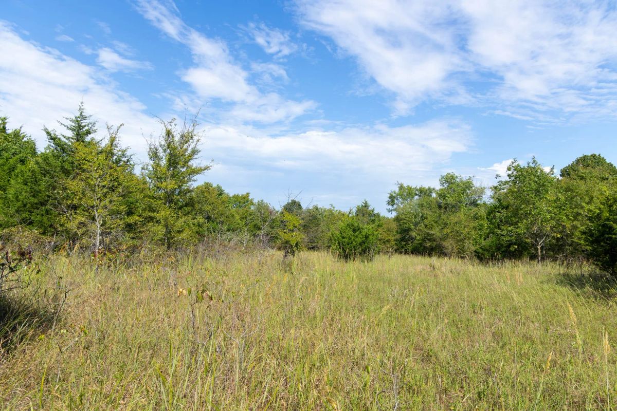 Reserves At Cattail Cove Phase II Tract 84 - Image 3