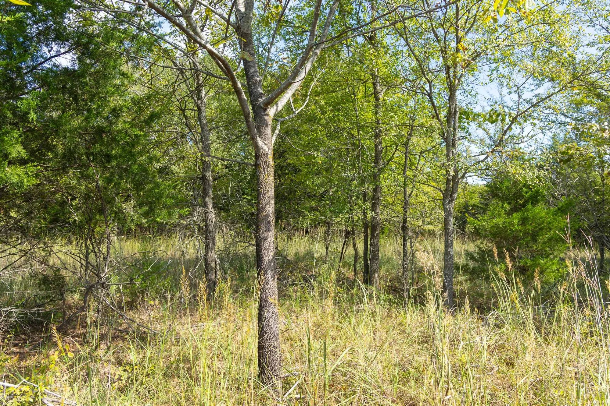 Reserves At Cattail Cove Phase II Tract 84 in Pittsburg County, OK