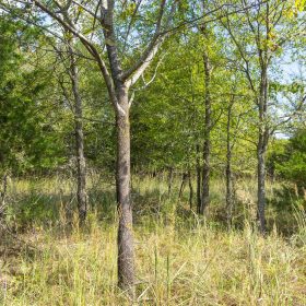 Reserves At Cattail Cove Phase II Tract 84 in Pittsburg County, OK