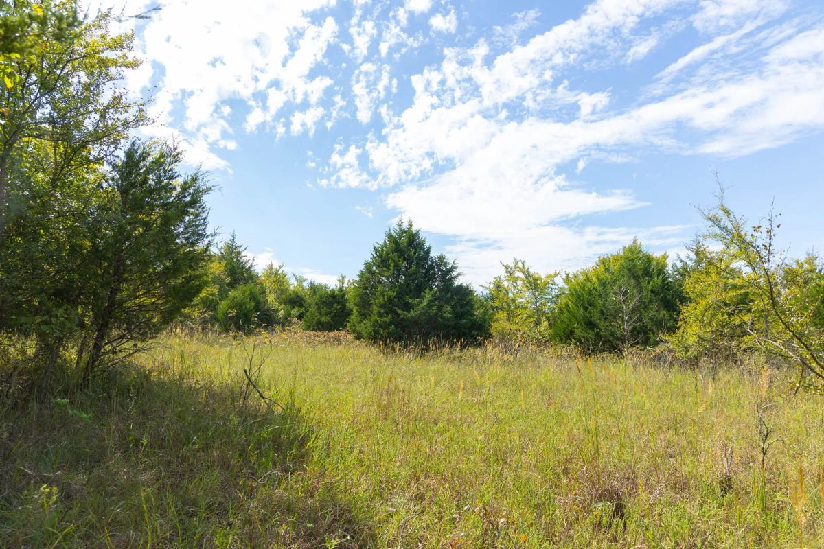 Decorative background for Reserves At Cattail Cove Phase II Tract 84 image 7