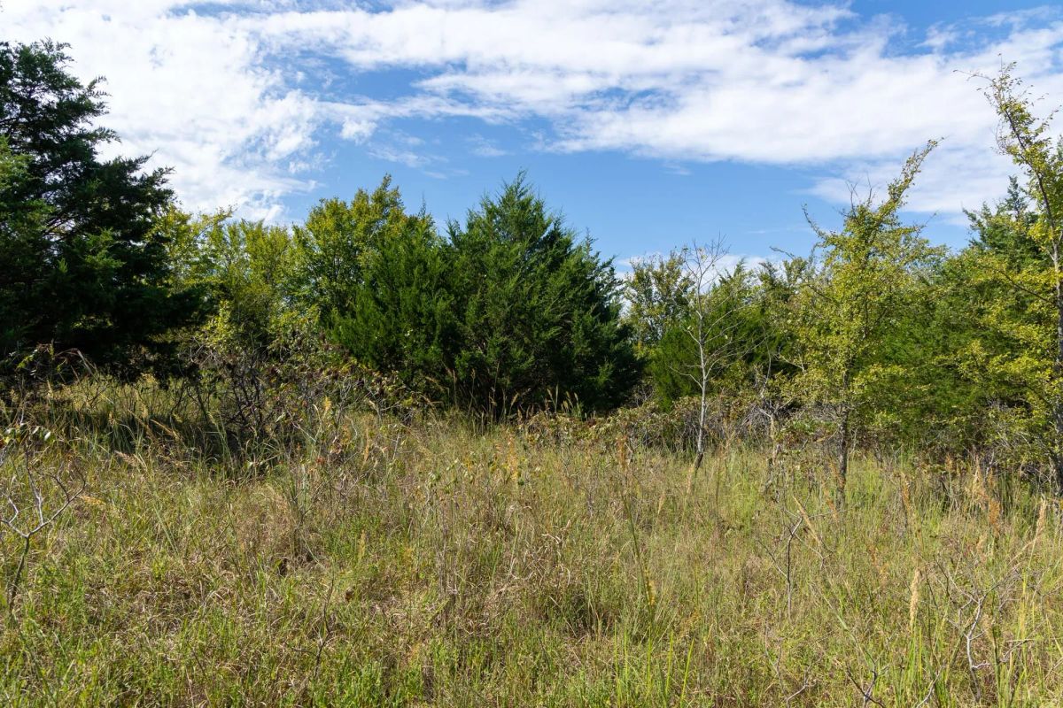 Decorative background for Reserves At Cattail Cove Phase II Tract 84 image 8