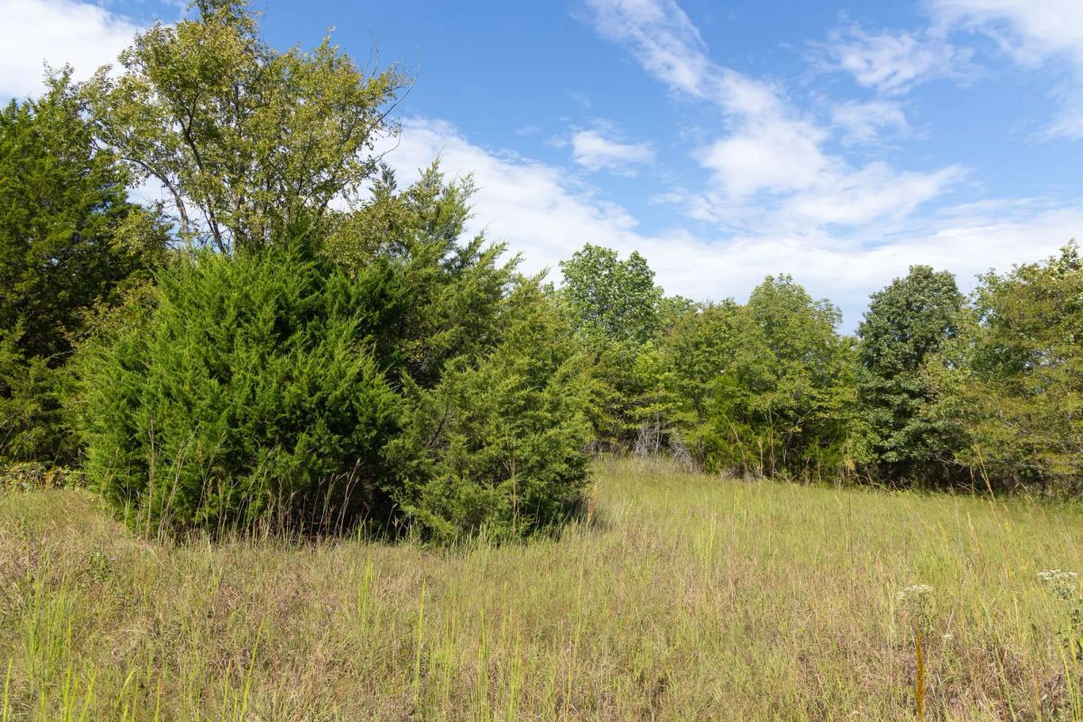 Decorative background for Reserves At Cattail Cove Phase II Tract 84 image 9