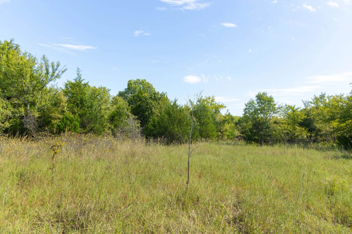 Decorative background for Reserves At Cattail Cove Phase II Tract 84 image 10